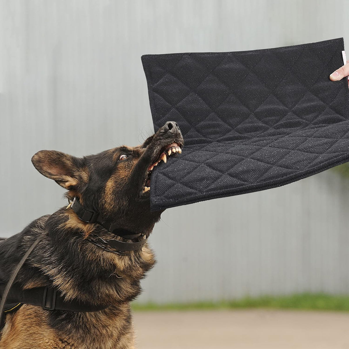 Hombys quilted chew resistant dog crate pad